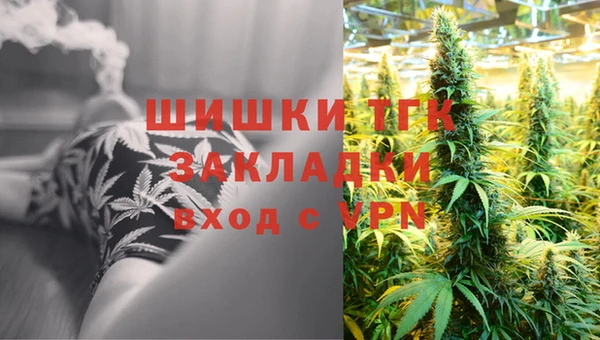 бошки Краснослободск