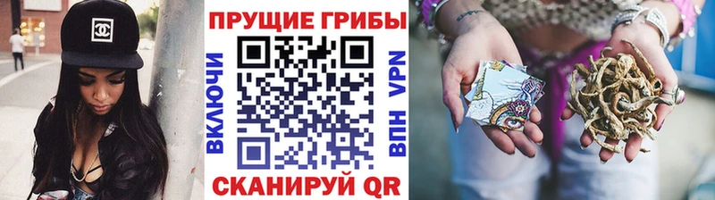 Галлюциногенные грибы мухоморы  Купить где  Отрадное 
